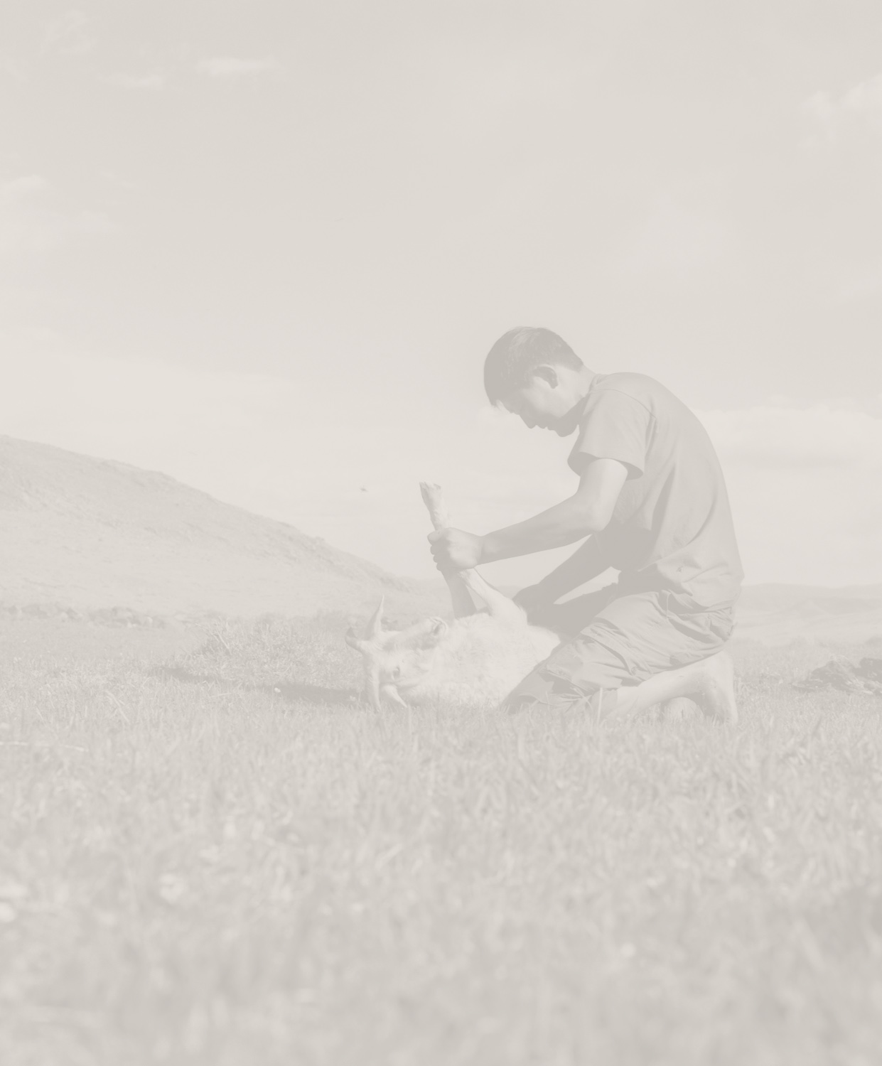 Mongolia | Khalkh | 2004 - 2007